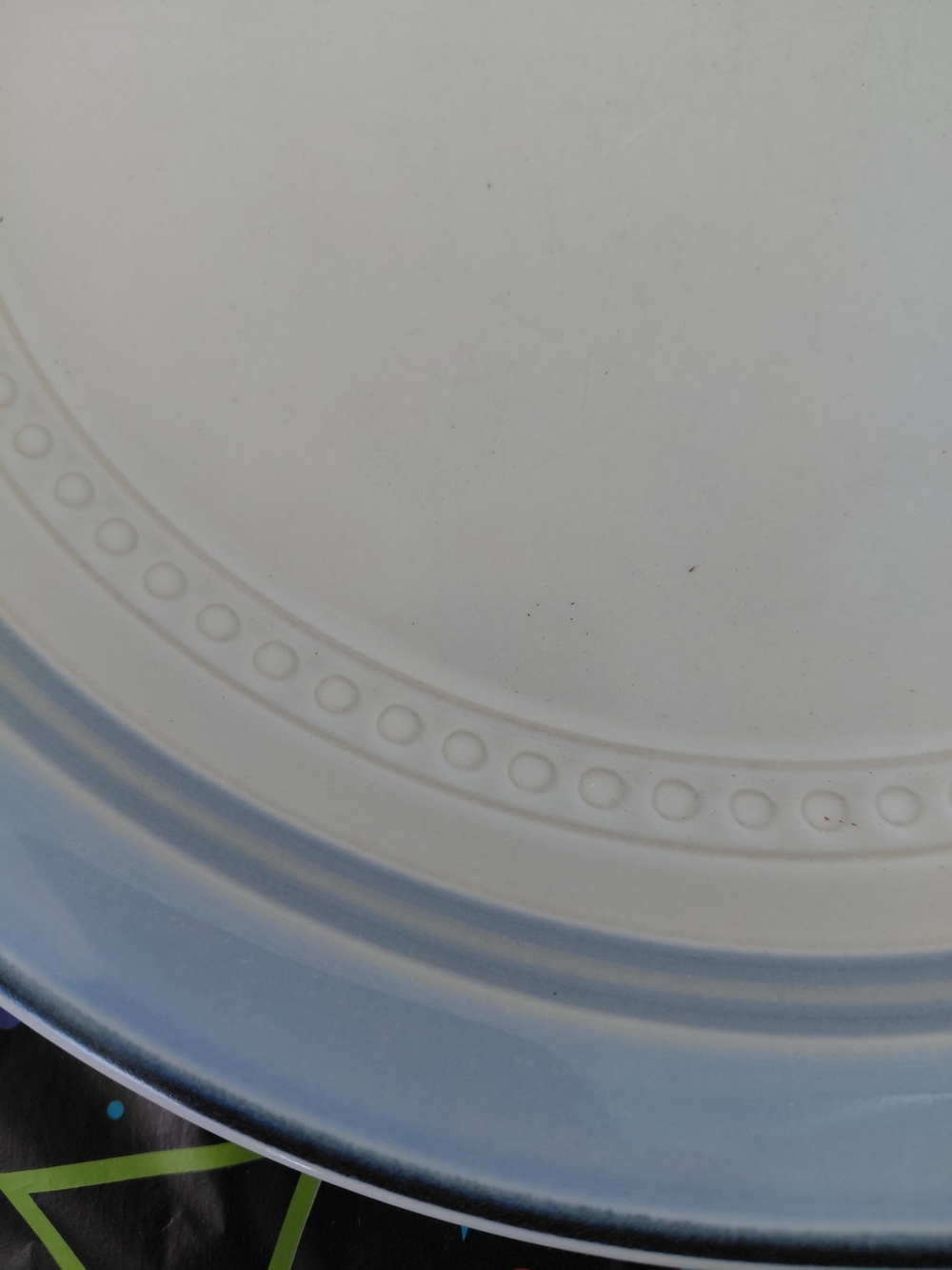 Blue and White Ceramic Dinner Plate with Beaded Rim - Only 1 Left